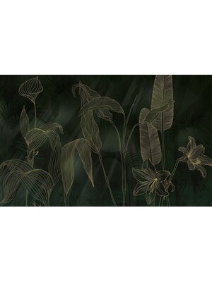 Komar Infinity 2 Fotobehang Darkest Green - IF4-089