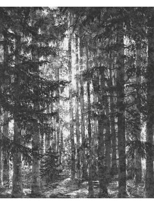 Komar Infinity 2 Fotobehang Lustres Lapland - IF2-014