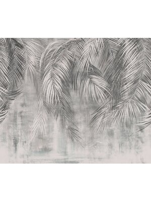 Komar Infinity 2 Fotobehang Natural Nuances - IF3-042