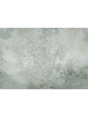 Komar Infinity 2 Fotobehang Obfuscated Ornament - IF4-085