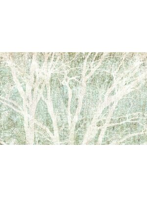 Komar Infinity 2 Fotobehang Peaceful Place - IF4-060