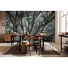 Komar Infinity 2 Fotobehang Whispering Woods - IF4-061