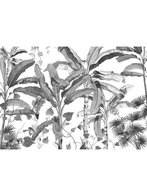 Noordwand Komar Ink Fotobehang Croissances Monochrome - INX8-082