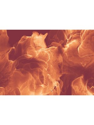 Noordwand Komar Ink Fotobehang Evoke - INX8-073