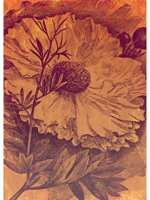 Noordwand Komar Ink Fotobehang Harvest - INX4-031