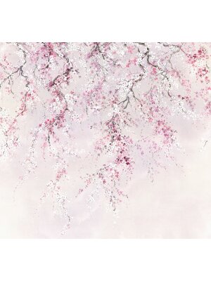 Noordwand Komar Ink Fotobehang Kirschblüten - INX6-013