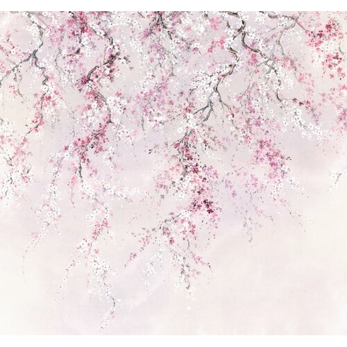 2,8m x 3m