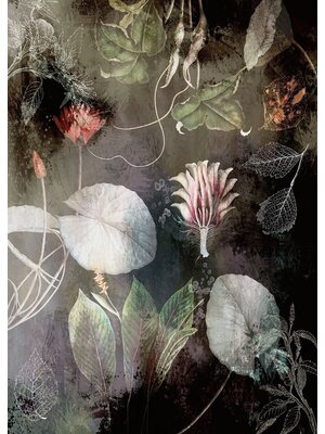 Noordwand Komar Ink Fotobehang Night Flowers - INX4-044
