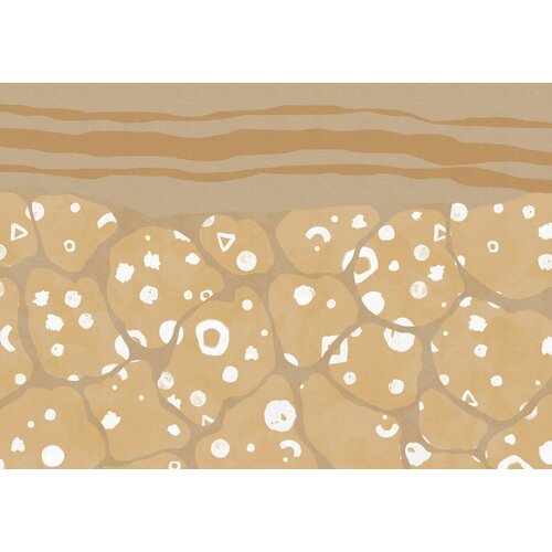 2,8m x 4m