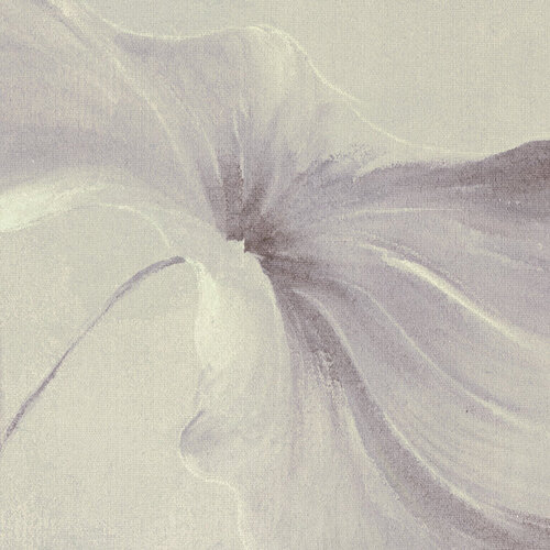 2,8m x 3,5m