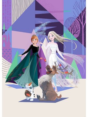 Komar Into Adventure Fotobehang Disney - Frozen - Abstract Arendelle - IADX4-059