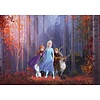 Komar Into Adventure Fotobehang Disney - Frozen - Autumn Glade - IADX8-005