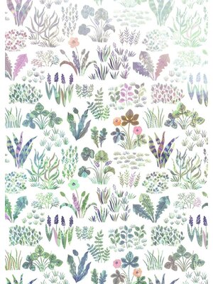 Noordwand Komar Into Adventure Fotobehang Flower Farm - IAX4-0006 Noordwand Komar Into Adventure Fotobehang Flower Farm - IAX4-0006