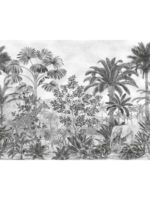 Komar Into Adventure Fotobehang Jungle Evolution - IAX7-0035