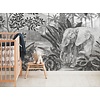 Komar Into Adventure Fotobehang Jungle Evolution - IAX7-0035