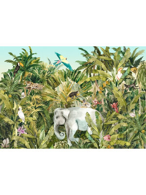 Komar Into Adventure Fotobehang Jungle Expedition - IAX8-0002