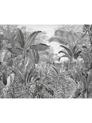 Komar Into Adventure Fotobehang Roraima - IAX7-0003