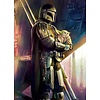 Komar Into Adventure Fotobehang Star Wars - Mandalorian Savior - IADX4-019
