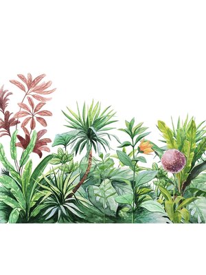 Komar Into Adventure Fotobehang Terrain - IAX6-0007