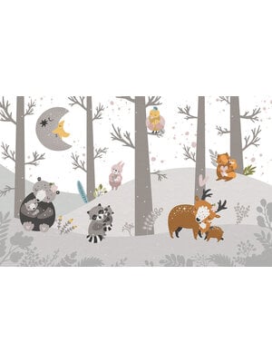 Komar Into Wonderland Fotobehang Little Darling - IAX8-0060