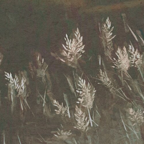 2,5m x 4m