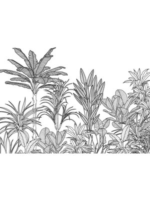 Komar Le Jardin Fotobehang Savanna - LJX7-048