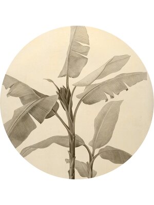 Komar Le Jardin; Komar Dots Behangcirkel Banana Plant - D1-095