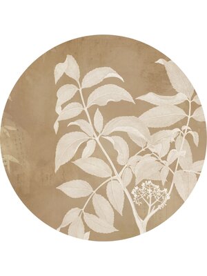 Komar Le Jardin; Komar Dots Behangcirkel Blooming Branch - D1-096