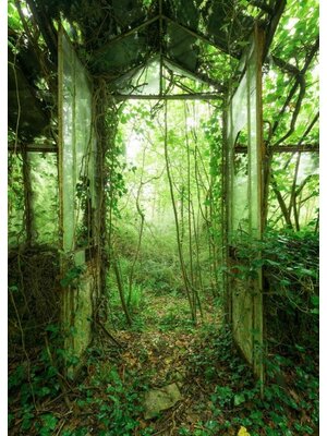 Noordwand Komar Lost Places; Komar Stefan Hefele Fotobehang Greenhouse - SHX4-158
