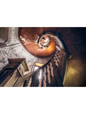 Noordwand Komar Lost Places; Komar Stefan Hefele Fotobehang Oak Spiral - SHX8-165 Noordwand Komar Lost Places; Komar Stefan Hefele Fotobehang Oak Spiral - SHX8-165