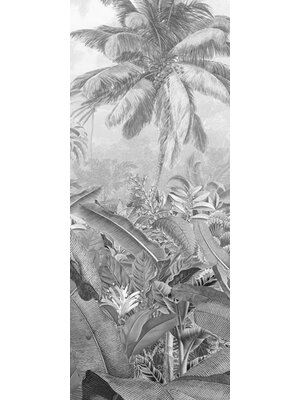 Noordwand Komar Pure Fotobehang Amazonia Black & White - P013-VD1