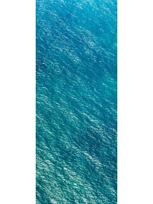 Noordwand Komar Pure Fotobehang Blaupause - PSH096-VD1