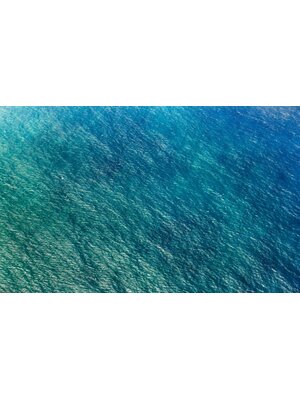 Noordwand Komar Pure Fotobehang Blaupause - PSH096-VD4