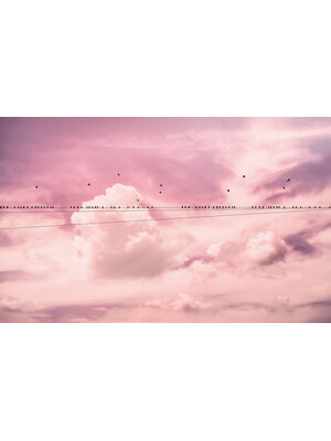 Noordwand Komar Pure Fotobehang Cloud Wire - P017-VD4 Noordwand Komar Pure Fotobehang Cloud Wire - P017-VD4