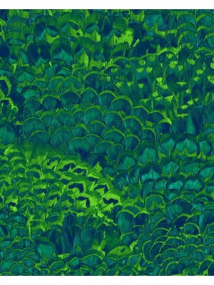 Noordwand Komar Pure Fotobehang Feathers - P019-VD2 Noordwand Komar Pure Fotobehang Feathers - P019-VD2