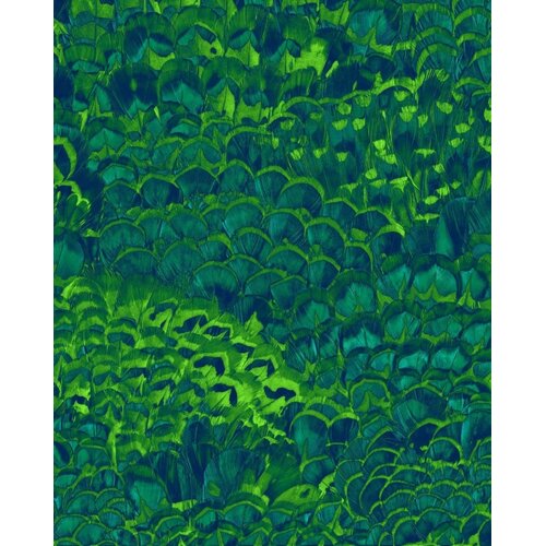 2,5m x 2m