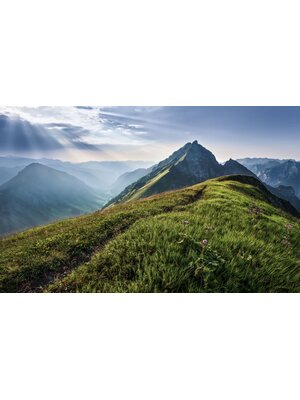 Noordwand Komar Pure Fotobehang Green Vein - PSH093-VD4 Noordwand Komar Pure Fotobehang Green Vein - PSH093-VD4