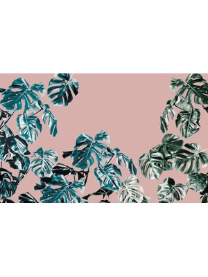 Noordwand Komar Pure Fotobehang Monstera Rose - P016-VD4