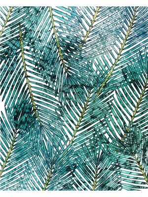 Noordwand Komar Pure Fotobehang Palm Canopy - P025-VD2