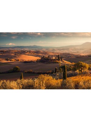 Noordwand Komar Pure Fotobehang Toskanagold - PSH094-VD4