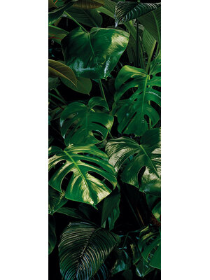 Noordwand Komar Pure Fotobehang Tropical Wall - P333-VD1