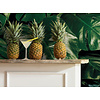 Noordwand Komar Pure Fotobehang Tropical Wall - P333-VD1 Noordwand Komar Pure Fotobehang Tropical Wall - P333-VD1