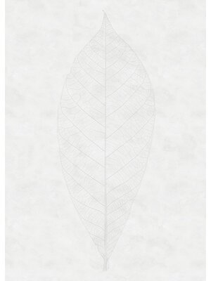 Noordwand Komar Raw Fotobehang Decent Leaf - R2-012