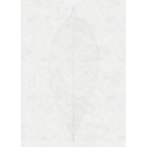 2,8m x 2m