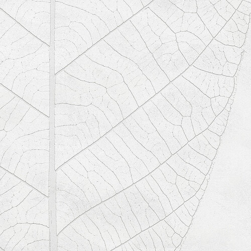 2,8m x 2m