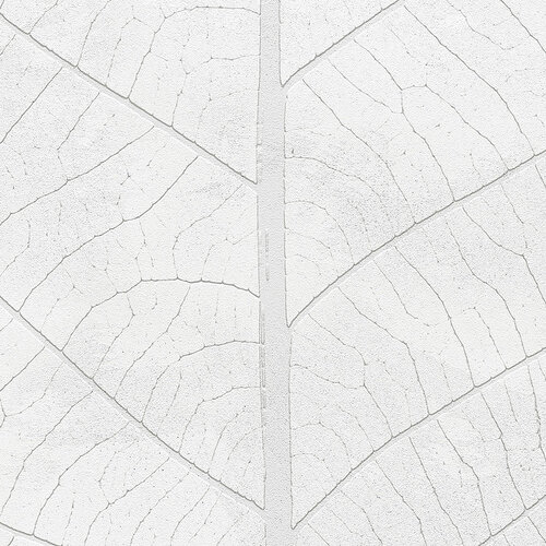 2,8m x 2m