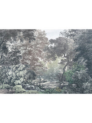 Noordwand Komar Raw Fotobehang Fairytale Forest - R4-060