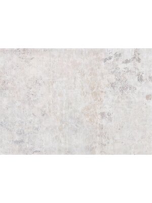 Noordwand Komar Raw Fotobehang Feathered - R4-052