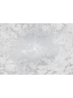 Noordwand Komar Raw Fotobehang Flora - RSX8-057