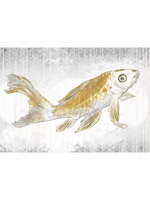 Noordwand Komar Raw Fotobehang Golden Koi - RSX8-049